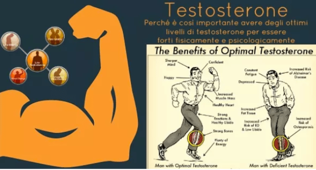 Testosterone: perché è tanto importante per gli uomini e come stimolare naturalmente il corpo a produrne di più.