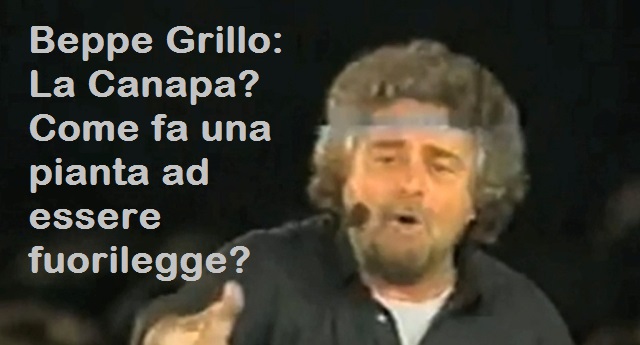 Beppe Grillo: La Canapa? Come fa una pianta ad essere fuorilegge?
