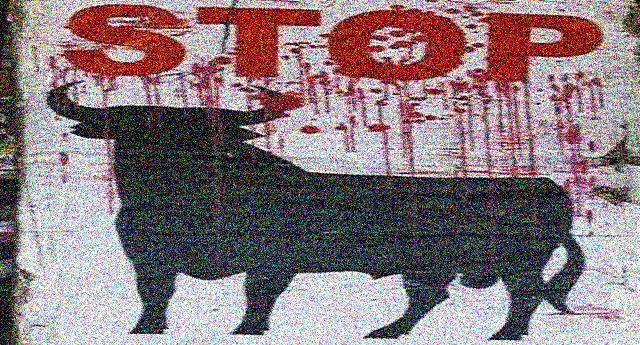 La corrida vista con gli occhi del toro – Le atrocità sulla corrida che tutti devono conoscere per capire l’idiozia delle bestie umane che si godono lo spettacolo…!